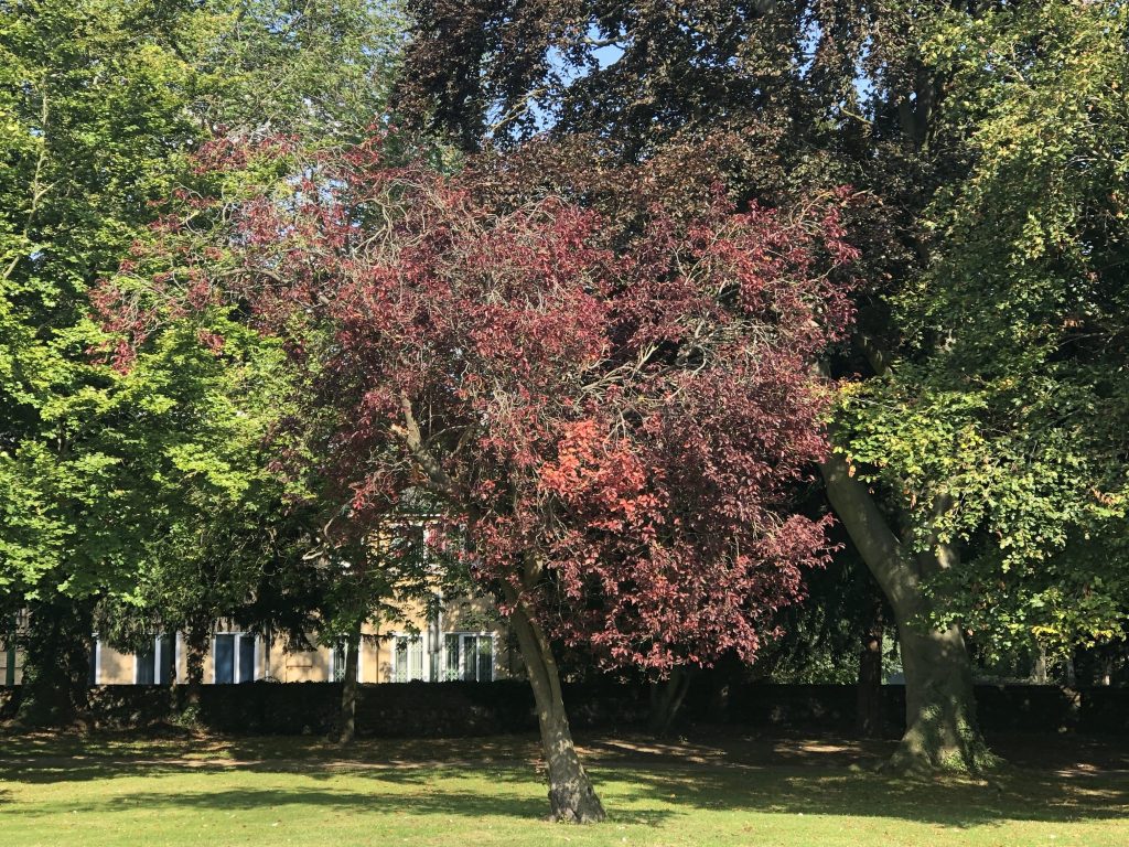 Ancestry – Why am I “me” and what do I do with&nbsp;that?