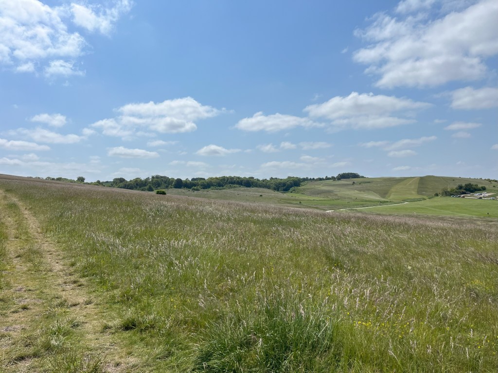 When it goes a bit&nbsp;wrong